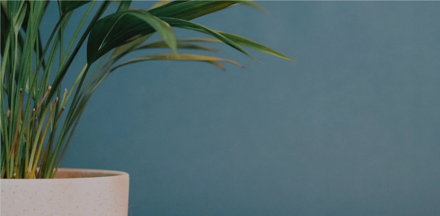 Hero background - investimenti immobiliari